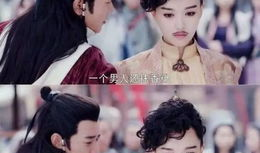 电视剧女扮男装,穿越时空的华丽蜕变