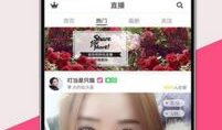 91贝贝在哪直播,热门主播的直播新阵地