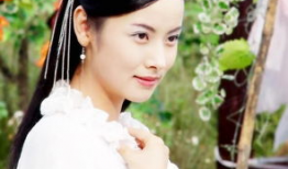 杨明娜电视剧,演绎传奇人生，电视剧中的璀璨星辰