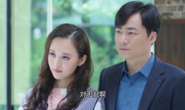 梅花儿香电视剧免费观看全集,重温经典，共赏梅花香飘万里