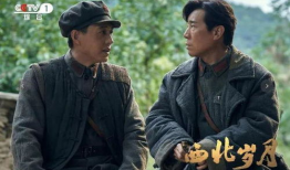 陕西电视剧,陕西电视剧中的历史与文化画卷