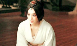 宁静主演的电视剧大全