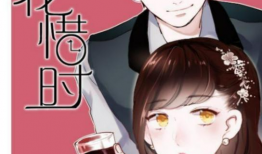 朝花惜时漫画,漫画中的青春岁月与时光流转