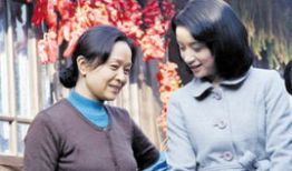 中国家庭电视剧,中国家庭电视剧的魅力之旅