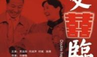 双喜临门电视剧,欢喜冤家喜结良缘