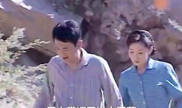 上门女婿电视剧全集,逆袭之路，爱情与事业的抉择