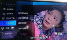 91.看电视直播,91.看电视直播的极致体验