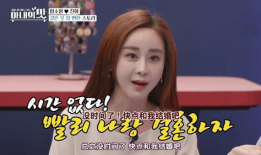 娶网红的明星,明星与网红的甜蜜邂逅