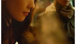 追的电视剧,青春逐梦之旅