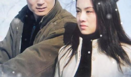 大雪无痕电视剧,揭秘隐秘情感纠葛的冰雪世界