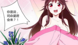 好看漫画,探寻好看漫画的视觉盛宴