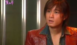 许绍洋演的电视剧,情感纠葛与命运抉择