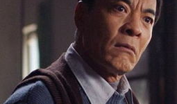 刘威主演的电视剧古装,古装剧中的传奇人生