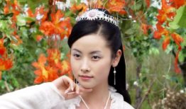杨明娜电视剧,演绎传奇人生，电视剧中的璀璨星辰