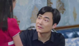 梅花儿香电视剧免费观看全集,重温经典，共赏梅花香飘万里