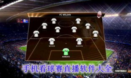 91看球用什么直播软件,解锁精彩赛事，畅享专业直播软件推荐