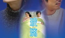 玻璃婚 电视剧,揭秘现代婚姻的脆弱与坚守