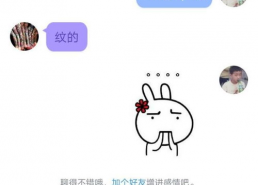 免费吃瓜大全qq群,揭秘网络社交新潮流