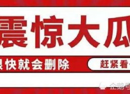 娱乐八卦每日吃瓜汇总