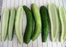 娱乐吃瓜酱江浙沪